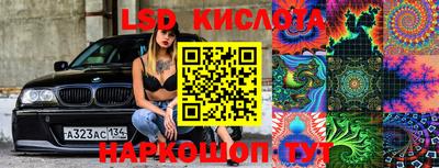 прущие грибы Конаково