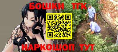 стаф Коммунар
