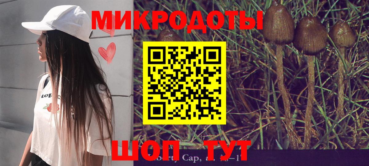 магазин    Вход с VPN  Каспийск  Псилоцибиновые грибы мицелий 